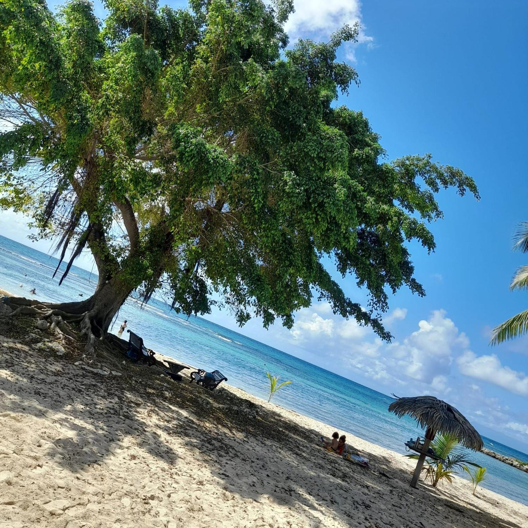 Appartement Bumbu 626 Anse Des Rochers Saint-Francois  Εξωτερικό φωτογραφία